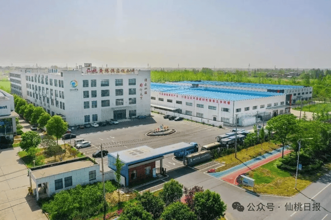 看千亿之城仙桃的马年新气象九游会j9ag开局起步！(图2)