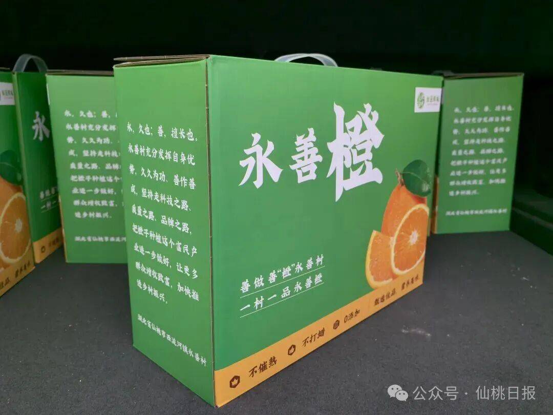 看千亿之城仙桃的马年新气象九游会j9ag开局起步！(图3)