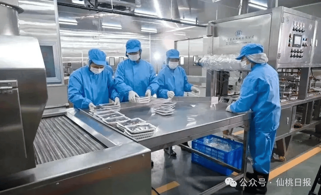 看千亿之城仙桃的马年新气象九游会j9ag开局起步！(图8)