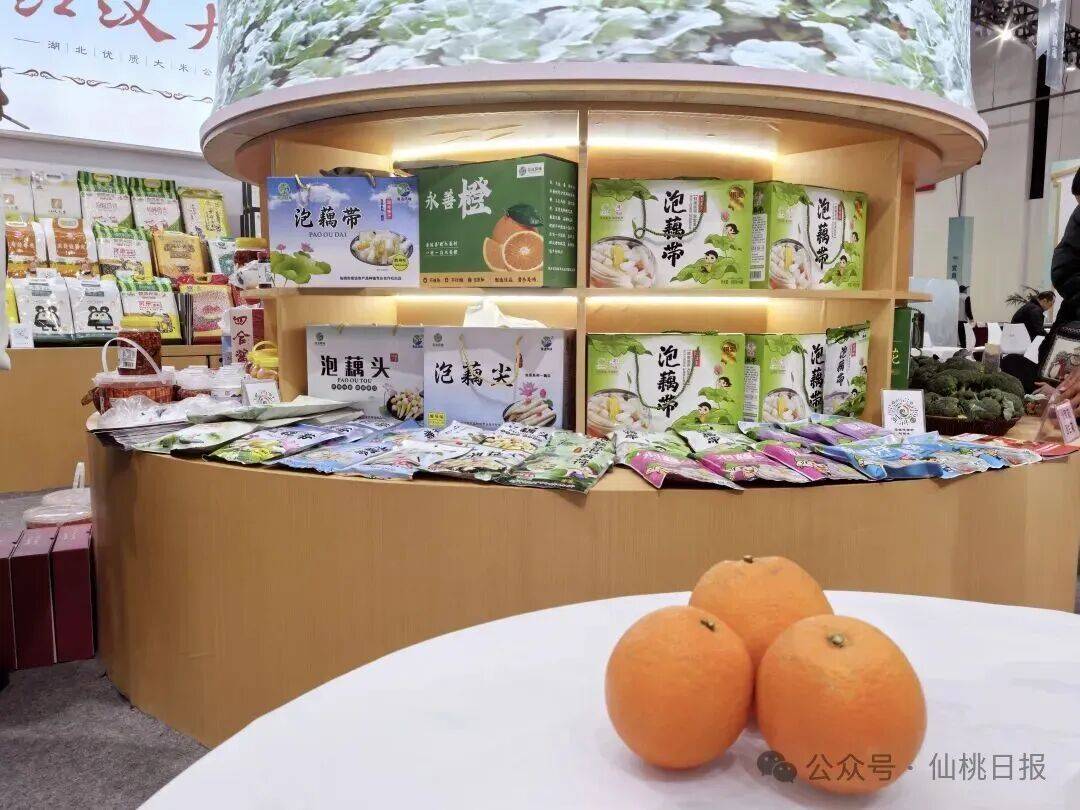 看千亿之城仙桃的马年新气象九游会j9ag开局起步！(图9)