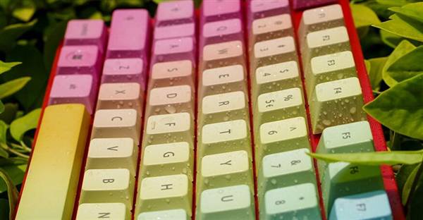 看：机械键盘入门手册j9九游会登录菜鸟必